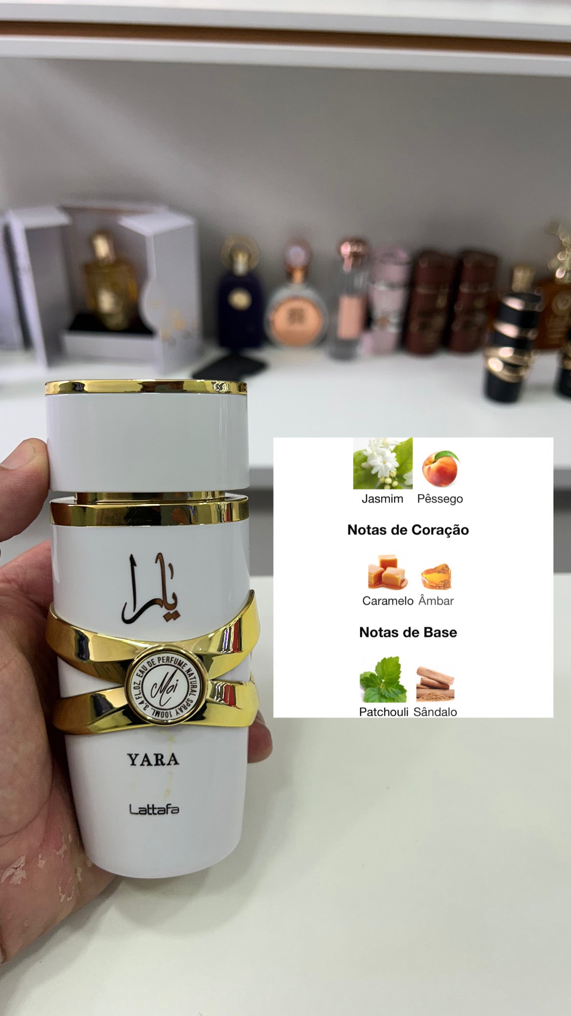 Combo Yara Completo - Decant de 5ml