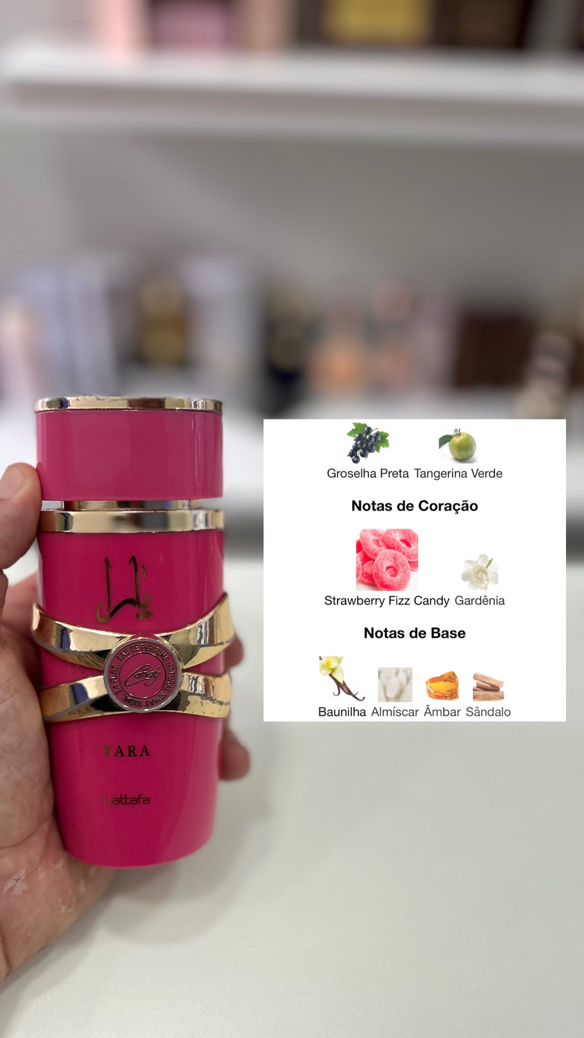 Combo Yara Completo - Decant de 5ml