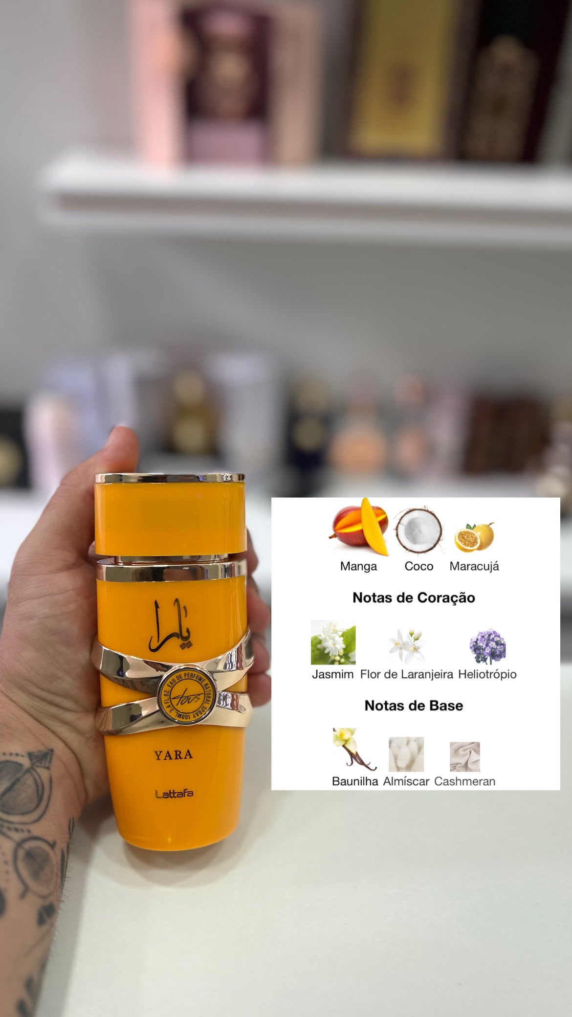 Combo Yara Completo - Decant de 5ml